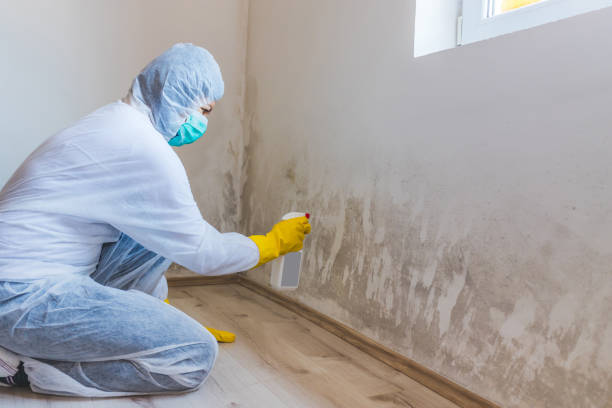 Crawl Space Mold Remediation treatment of floor joists in Middletown